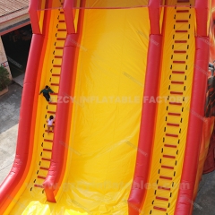 Lion Theme Giant PVC Inflatable Park Slide