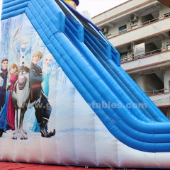 Commercial Grade Inflatable Park Slide