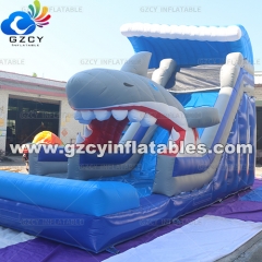 INFLATABLE WATER SLIDE WITH POOL