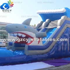INFLATABLE WATER SLIDE WITH POOL