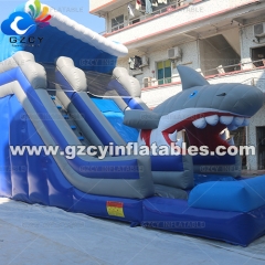 INFLATABLE WATER SLIDE WITH POOL