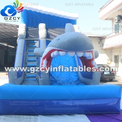 INFLATABLE WATER SLIDE WITH POOL