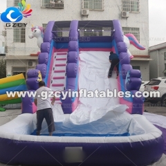 Customized Theme Inflatable Water Slide With Pool