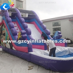 Customized Theme Inflatable Water Slide With Pool