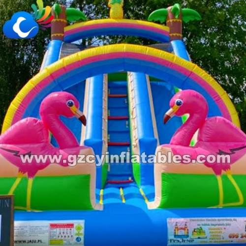 Inflatable Dry Slide for Kids Playground Interactive Game Dry Slides for Sale Indoor Slides