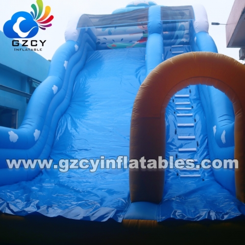 Dry Water Slide for Commercial Use Ocean Theme for Adults Kids Inflatable Water Slide