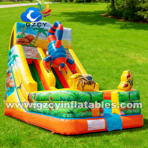 Inflatable Double Lane Dry Slide for Kids CE Certified
