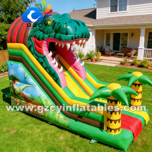 Outdoor Events PVC Inflatable Jumping Castle for Kids Slide for Boy