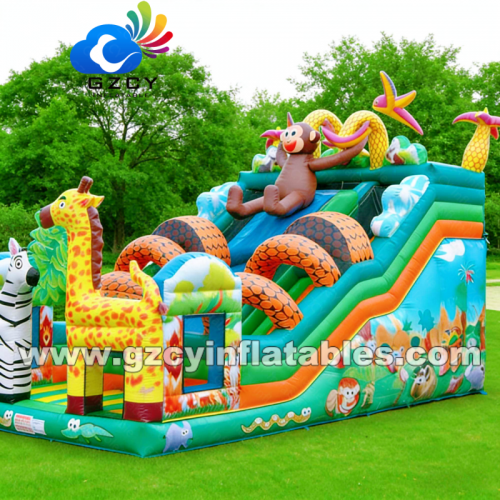 Outdoor Dry Slide with Bounce House for Kids