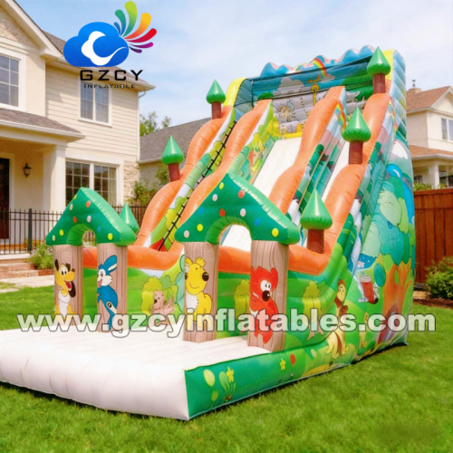 PVC Inflatable Double Lane Slide Inflatable Dry Slide for Residential School Use Indoor/Outdoor