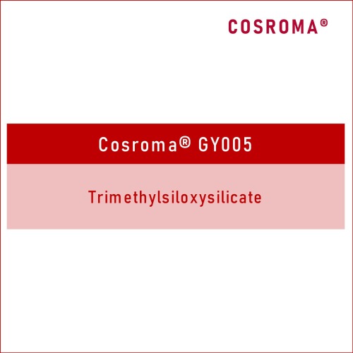 Trimethylsiloxysilicate Cosroma® GY005