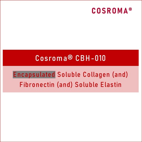 Encapsulated Soluble Collagen (and) Fibronectin (and) Soluble Elastin Cosroma® CBH-010