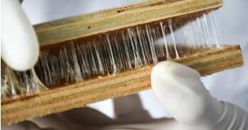 Rubber adhesive bonding tensile test sample
