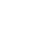 icon_website