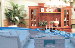 Water-based Wood Paint