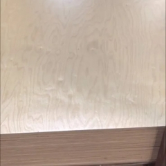 CABINET UV COATING