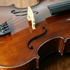 PE Wood Coating (Polyester Paint)
