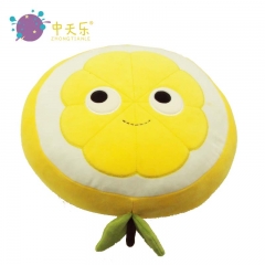 Plush pillow