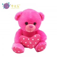 Valentine's Day love with plush bear