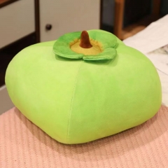 Persimmon Pillow