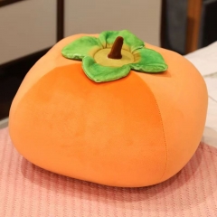 Persimmon Pillow