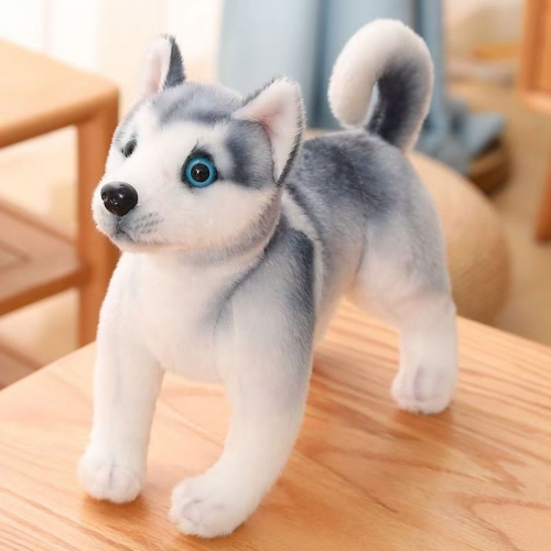 Husky plush toys