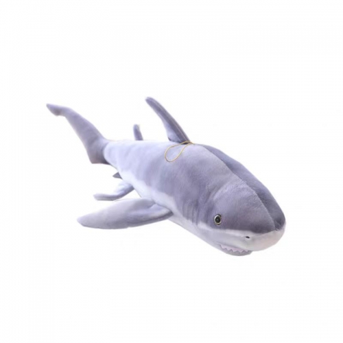 Shark toys