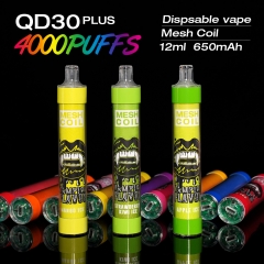 4000 Puffs Disposable Vape