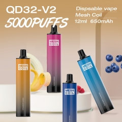 5000 Puffs Disposable Vape