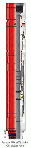 Rupture Disk (RD) Safety Circulating Valve