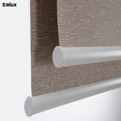 Day And Night Roller Shade