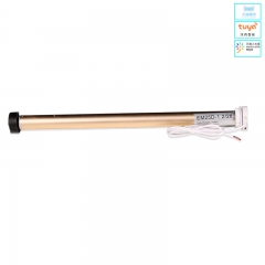 AC/DC 25mm Roller Blind Motor for 38mm Tube – Electronic Limit Switch & Wireless