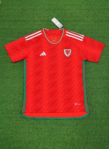 22-23 World Cup Wales Home
