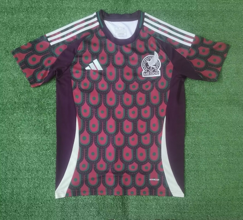 24-25 Mexico Home