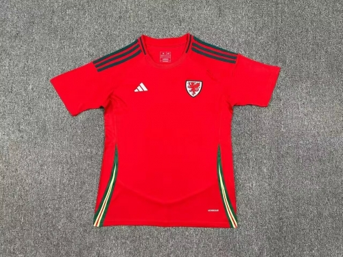 24-25 Wales Home