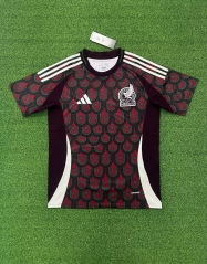 24-25 Mexico Home