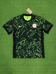 24-25 Nigeria away game