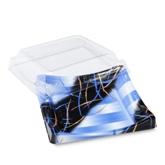 BF-40 Plastic Disposable Sushi container