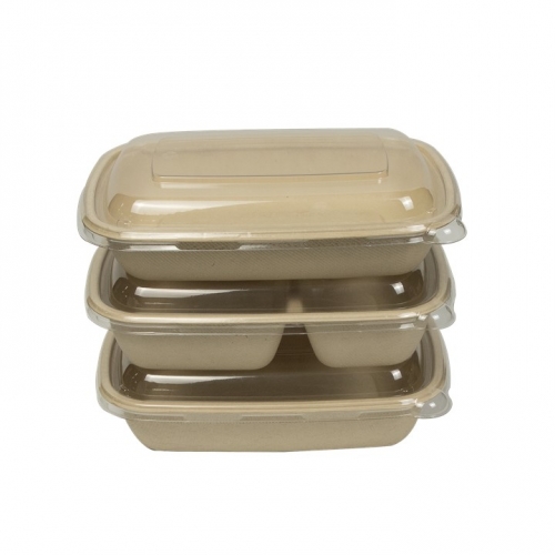 Biodegradable Compostable Bagasse Pulp Disposable Food Container