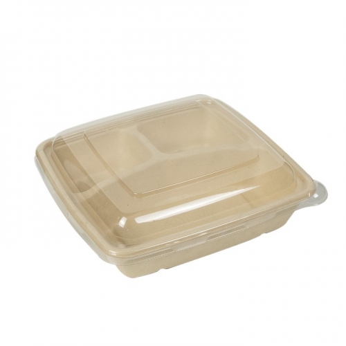 Biodegradable Compostable Bagasse Pulp Disposable Food Container