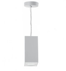 LED Downlight (Pendant Light)