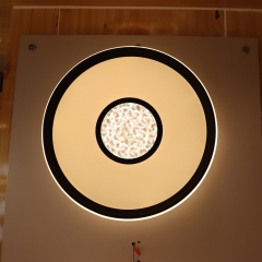 New unique design LED Ceiling Light