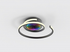 Minimalist Black Ring Smart Light