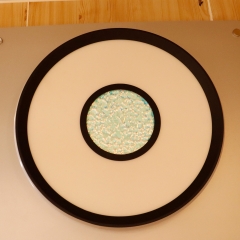 New unique design LED Ceiling Light