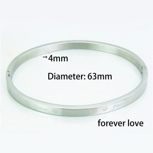 BaiChuan Wholesale Stainless Steel 316L Popularity Bangle NO.#BC42B0099ML