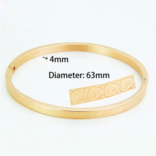 BaiChuan Wholesale Stainless Steel 316L Popularity Bangle NO.#BC42B0083HAD