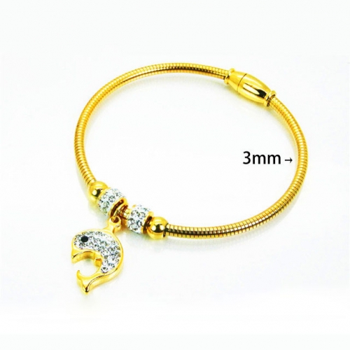 Wholesale Stainless Steel 316L Popularity Bangle NO.#BC12B0344HJE