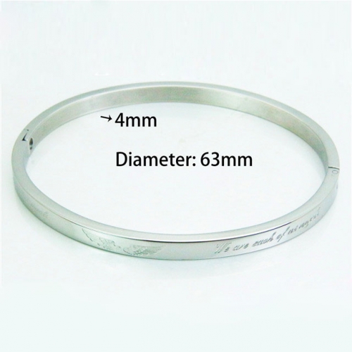 BaiChuan Wholesale Stainless Steel 316L Popularity Bangle NO.#BC42B0089ML