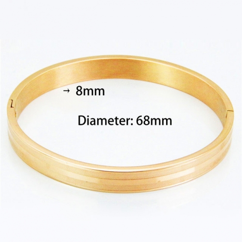 BaiChuan Wholesale Stainless Steel 316L Popularity Bangle NO.#BC42B0010HDS