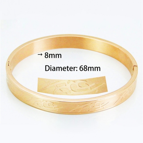BaiChuan Wholesale Stainless Steel 316L Popularity Bangle NO.#BC42B0011HCZ